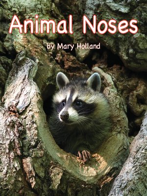 cover image of Animal Noses
